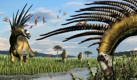 Neuquén: Hallaron una nueva especie de dinosaurio 