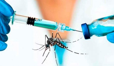 La vacuna contra el dengue estará disponible en el país en el mes de noviembre