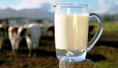 Los tamberos santafesinos regalarán leche como medida de protesta 