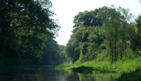 Se realizará una jornada de capacitación sobre bosques nativos en Villa Ana