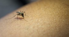 RECONQUISTA: 2 internados con Covid, 18 contagiados de dengue, y advierten sobre la leptospirosis
