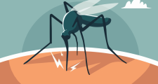 Dengue: Provincia actualiza la información y recomendaciones