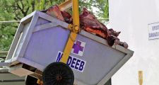 Secuestro de  1500 kgs. de carne clandestina de dudosa procedencia .