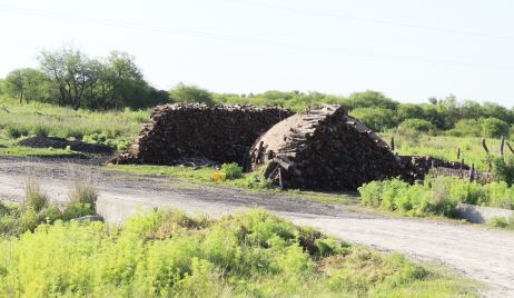 LA LEY DE BOSQUES GENERA PROBLEMAS EN EL NORTE SANTAFESINO