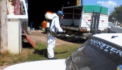 Tareas preventivas contra el Dengue