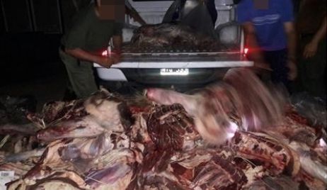 Secuetro de 5.186 kg. de carne por haber perdido la cadena de frío