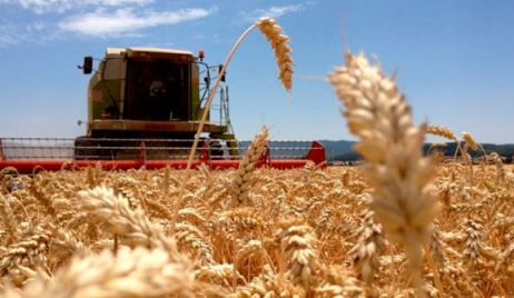 Santa Fe: avanza la cosecha de trigo y la siembra de soja está cerca de finalizar