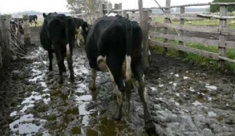 “La situación en la cuenca láctea es desoladora