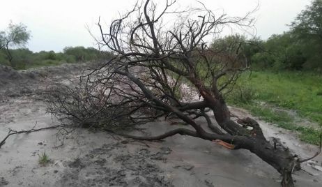 TEMPORAL DE VIENTO Y PIEDRAS AZOTÓ A LA LOCALIDAD DE POZO DE LOS INDIOS Y KM 115.