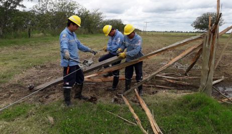 La EPE continúa con tareas de reposición del servicio eléctrico en la provincia