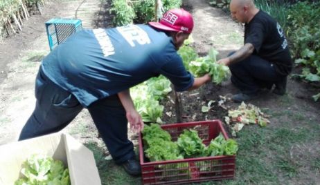 Emergencia Social: le darán $4.000 por mes a trabajadores de la economía popular