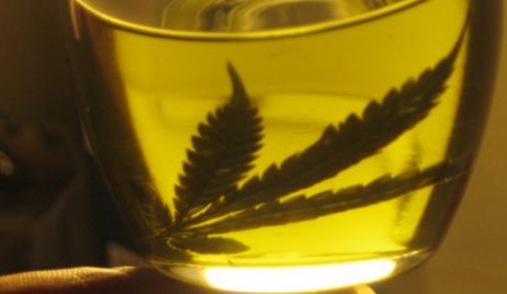 Capacitarán a médicos sobre tratamientos con cannabis