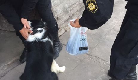 CON PERROS ADIESTRADOS CONTINUÓ LA BÚSQUEDA DE LA JOVEN DESAPARECIDA EN FORTÍN OLMOS.