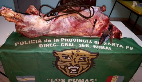 Procedimientos realizados por la Guardia Rural Los Pumas en el ámbito provincial.