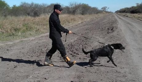 Fortín Olmos: preparan amplio rastrillaje con perros buscadores