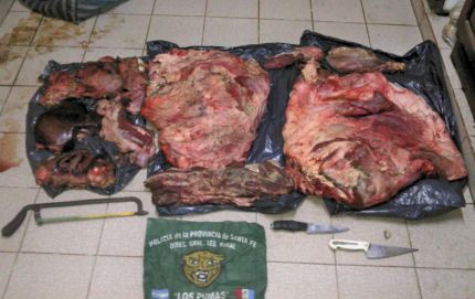 una animal caprino regalado y el otro faenado