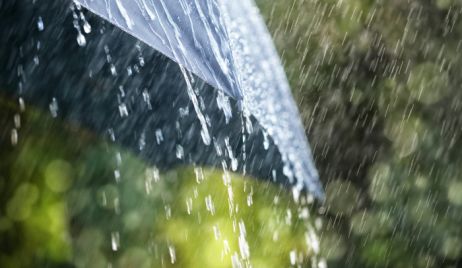 Registro de lluvia y pronóstico extendido