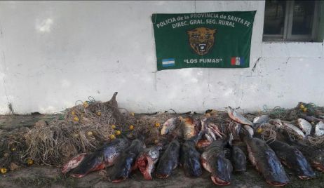 Parte de prensa de la Guardia Rural 