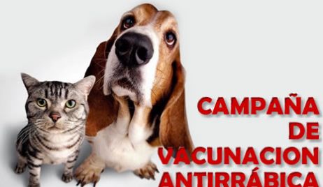 Comienza la campaña de vacunación antirrábica de mascotas