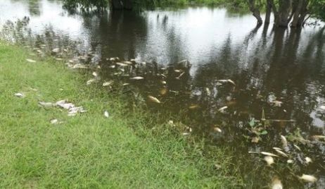 La provincia recomienda no consumir pescados de zonas de riesgo.