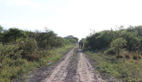 Caso Rosalía Jara: Nuevo rastrillaje