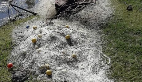 Procedimientos de la Guardia Rural Los Pumas