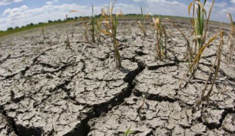 LOS PRODUCTORES EN EMERGENCIA AGROPECUARIA POR SEQUÍA YA PUEDEN TRAMITAR SU CERTIFICADO