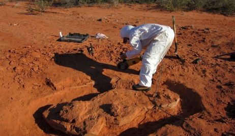 Descubrieron en San Juan restos del dinosaurio gigante más antiguo hallado hasta el momento