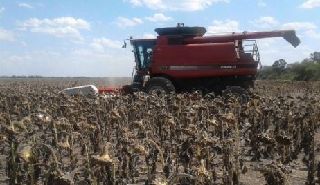 Agroindustria declaró la emergencia agropecuaria por sequía en Chaco, Santa Fe y Córdoba