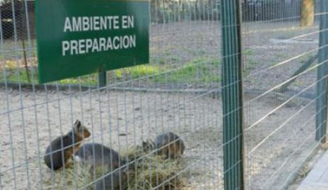 Granja La Esmeralda: Solicitan que el gobierno provincial plan  de re conversión y refuncionalizacion.