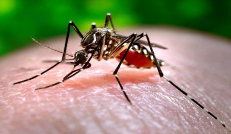 RECOMENDACIONES PARA PREVENIR DENGUE, ZIKA, CHIKUNGUNYA Y FIEBRE AMARILLA