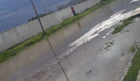 Datos de lluvia y pronóstico extendido.