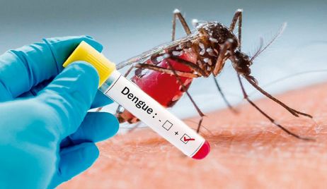 Son 44 los casos de dengue confirmados en la provincia