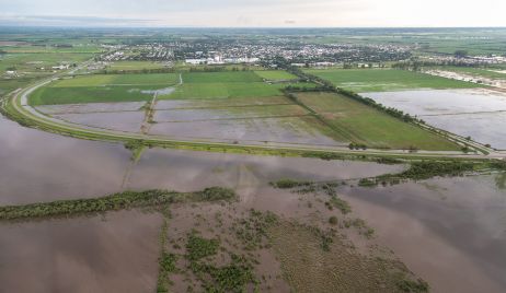 NACION: Declaró la emergencia agropecuaria para Santa Fe