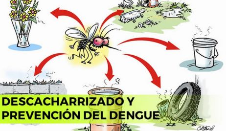 Dengue: En una semana, 42 casos confirmados