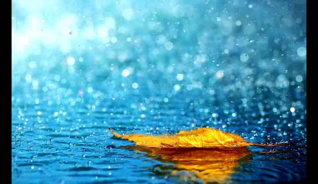Datos de lluvia