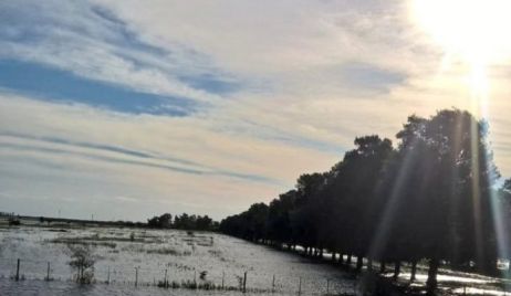 Federación Agraria pidió una audiencia al gobierno de Santa Fe y a la Secretaría de Agroindustria de la Nación