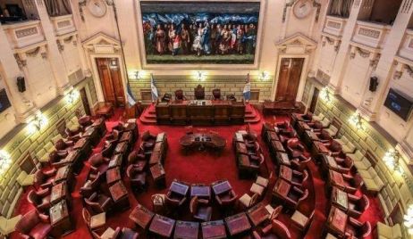 Diputados, por Augsburger, reguló la actividad del acompañante terapéutico