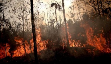 Bomberos Voluntarios de Santa Fe viajan a Brasil para combatir los incendios