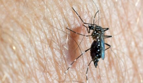 DENGUE: LA PROVINCIA BRINDÓ RECOMENDACIONES A EQUIPOS DE SALUD