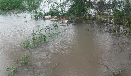 Datos de lluvia y pronóstico extendido