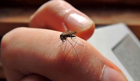 La provincia describió la situación actual en relación a dengue