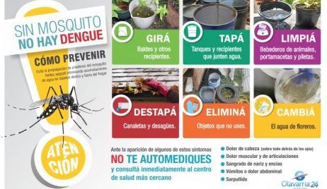 Más de 2 mil casos positivos de dengue en toda la Provincia