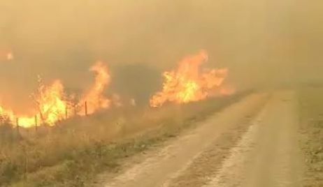 Desesperante situación por incendio forestal en Los Amores.