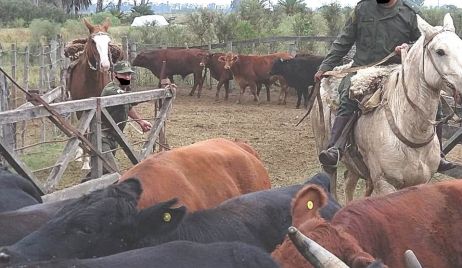 Procedimientos de la Guardia Rural 