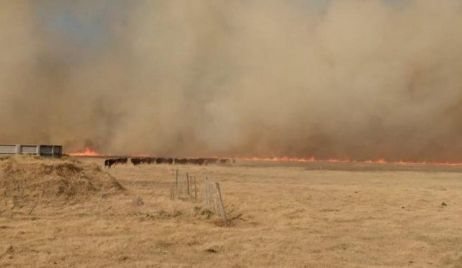 La EPE advierte sobre daños en redes eléctricas por incendios en distintas regiones