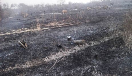 EL GUANAGAN:Incendio con daños en pastura de alimento para ganado