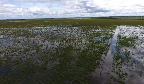 La provincia convocó a la FICH para relevar vías de comunicación y obras de infraestructura en los Bajos Submeridionales