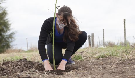 LA PROVINCIA AVANZA EN ACCIONES PARA INCENTIVAR LA FORESTACIÓN EN LAS LOCALIDADES SANTAFESINAS