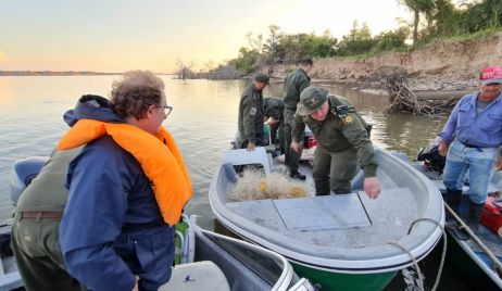 RÉCORD DE PROCEDIMIENTOS DE “LOS PUMAS” DURANTE DICIEMBRE